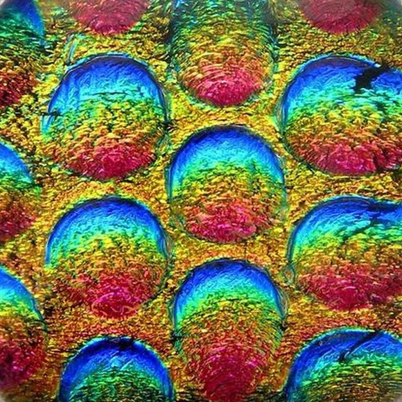 Meet your Posher, Samantha - Picture 1 of 1